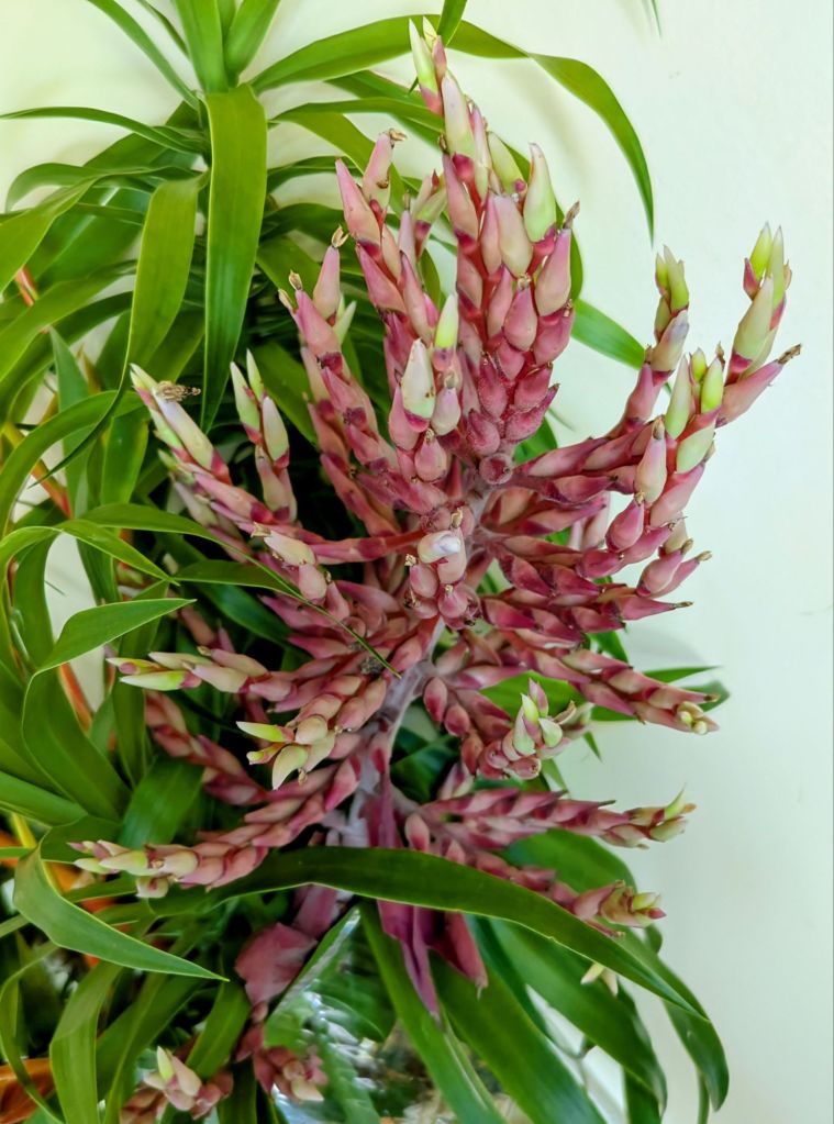 wp-17542474627181799272758335123168