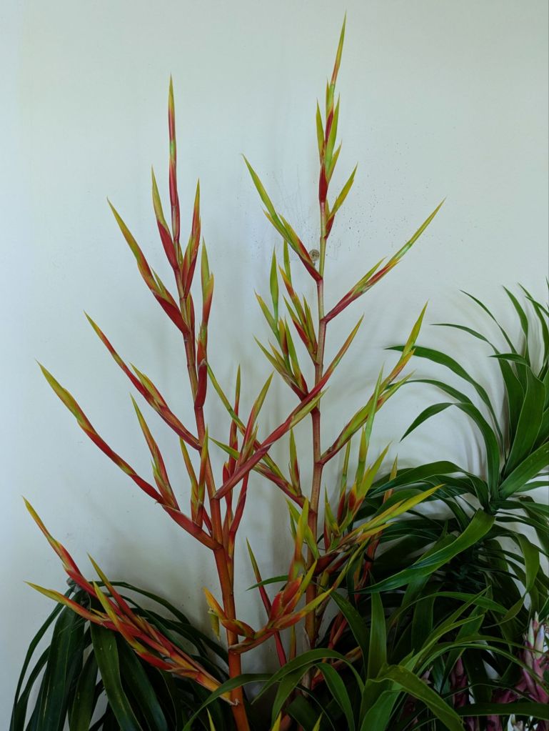 wp-17542478038874848226265706371925