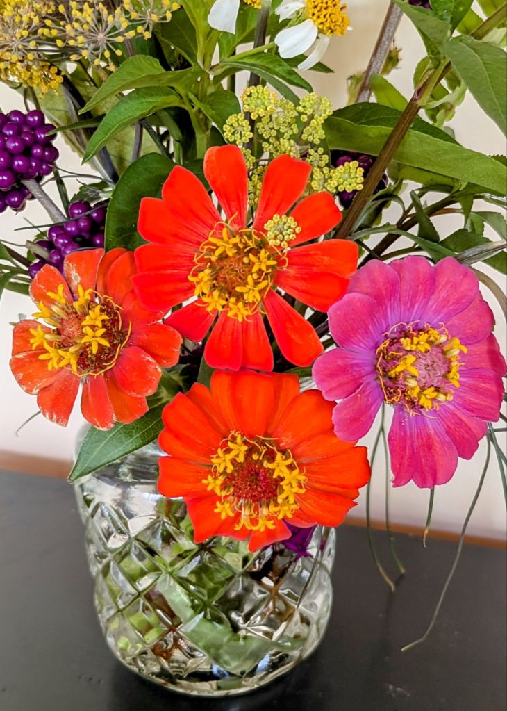 wp-17548533331064445683070980529842