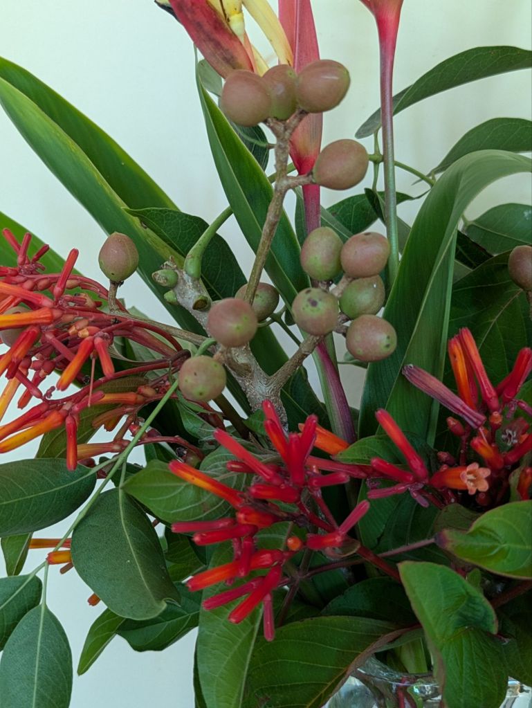 wp-17554587478818239425070822721432