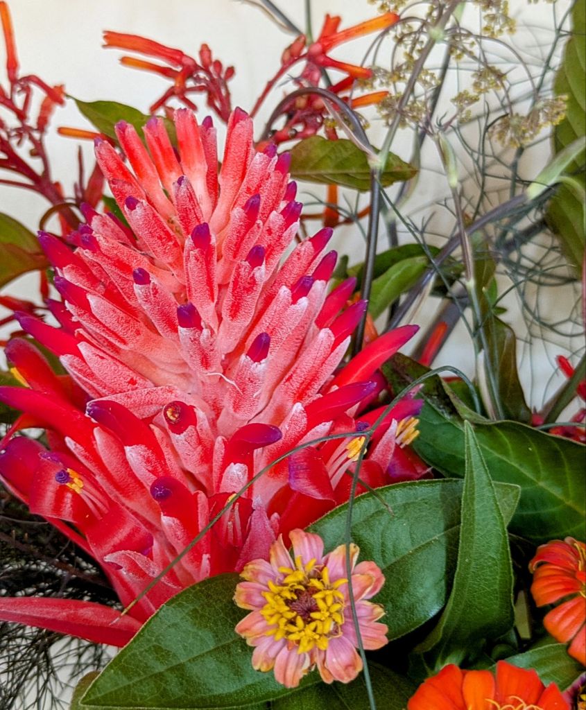 wp-17560618500168763385533843842498