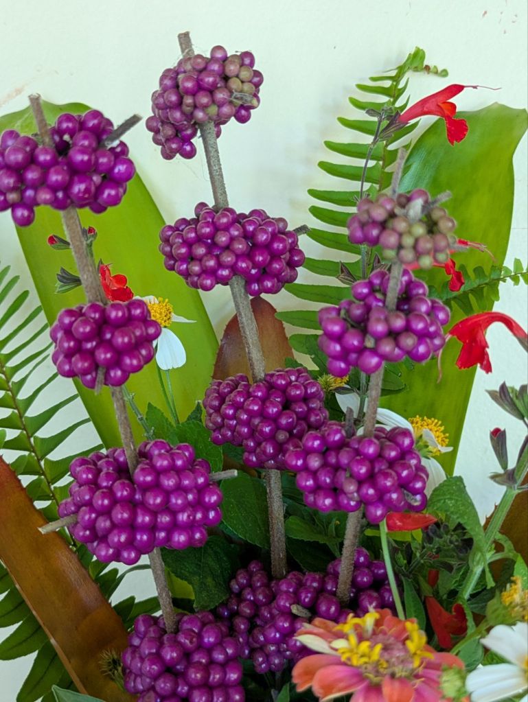 wp-17566718243342575603020464132358