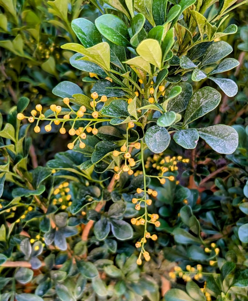 wp-17571685629035335346086708936076