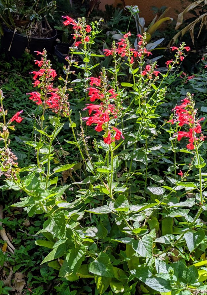 wp-17571692039337722063924598973516