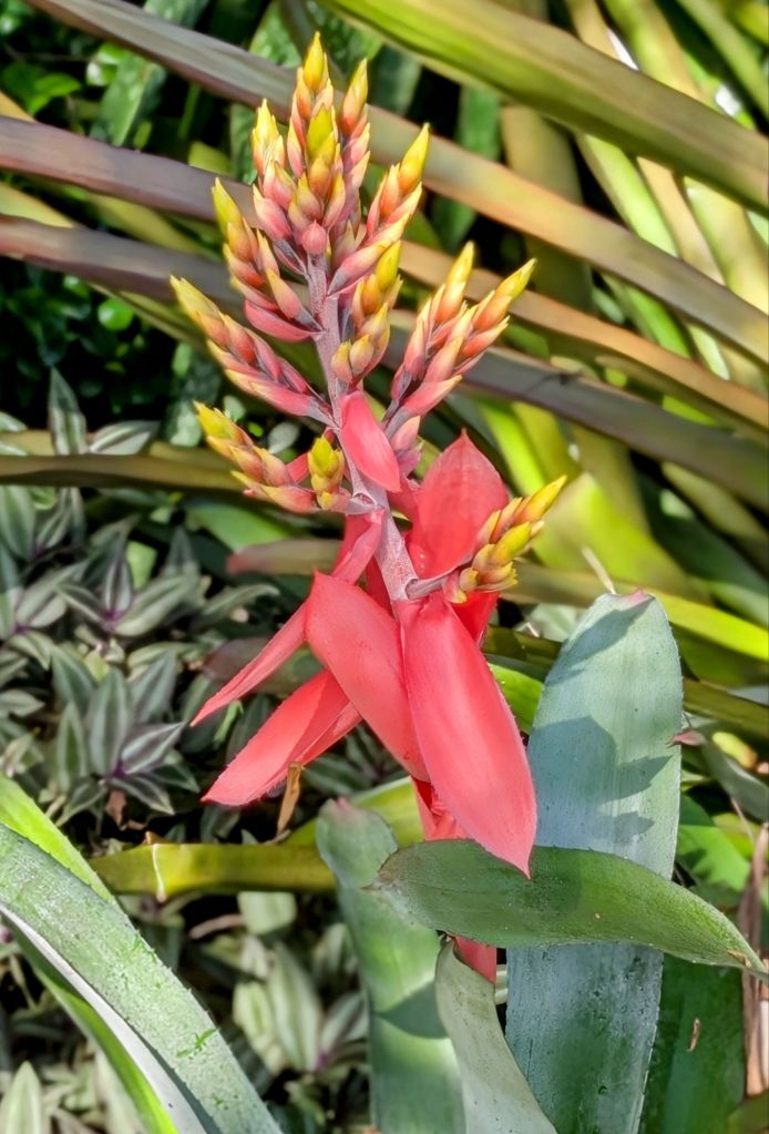 wp-17571694071354142211860547733724