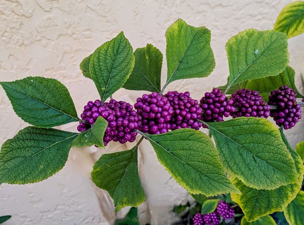 wp-17571695069544801748625884847785