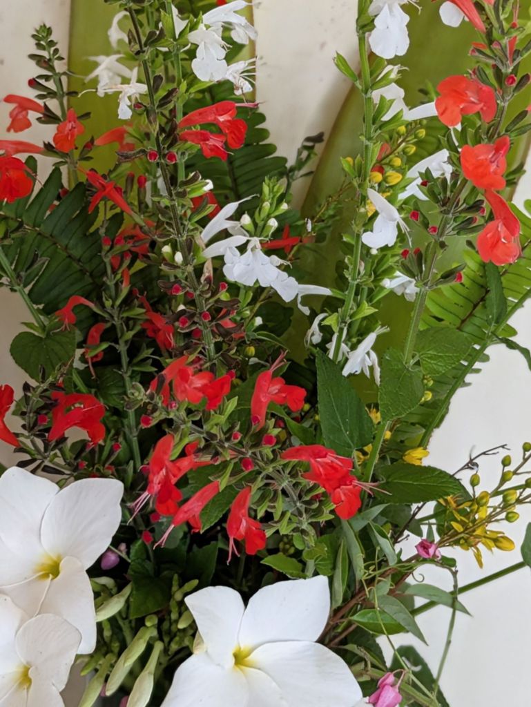 wp-17572744887011122851414712023727