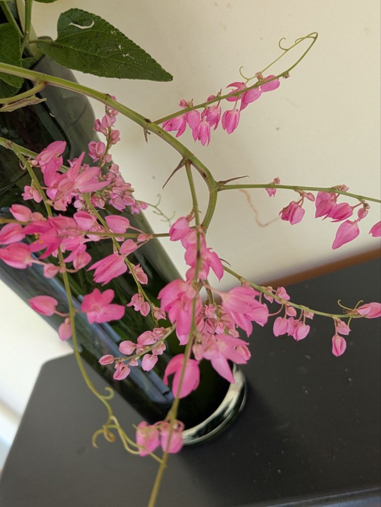 wp-17572752741786206651479337501836