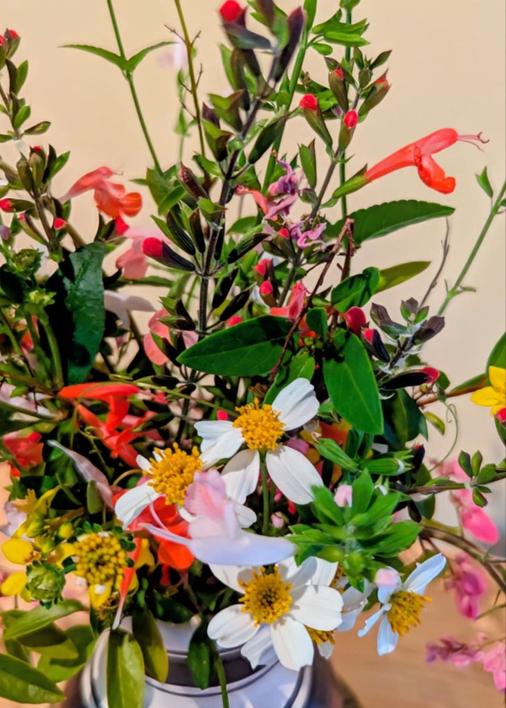 wp-17584850761112086762284363763593