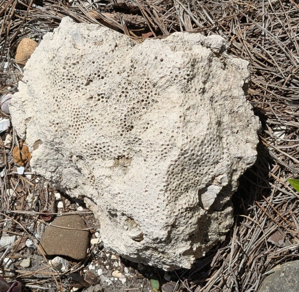 wp-17584858289105756040229961439500