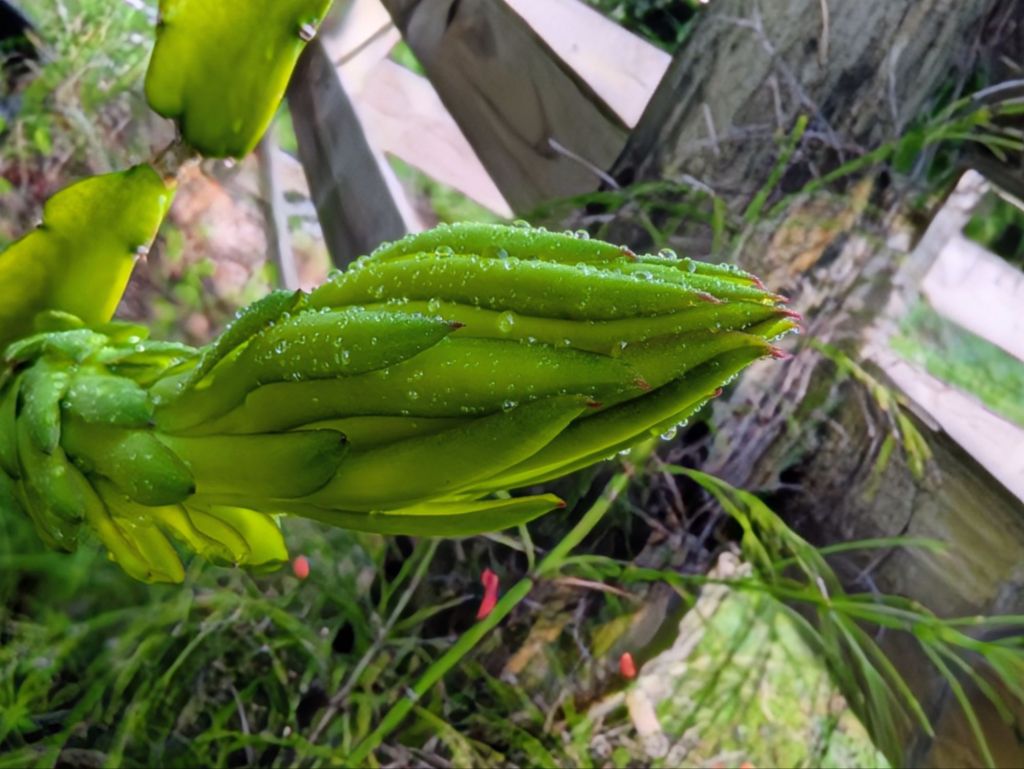 wp-17589828190641584582261013601675