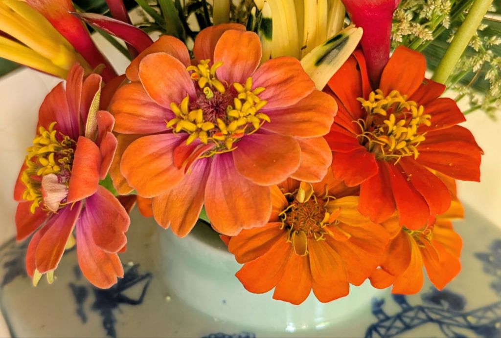 wp-17596977136669080037109591014680