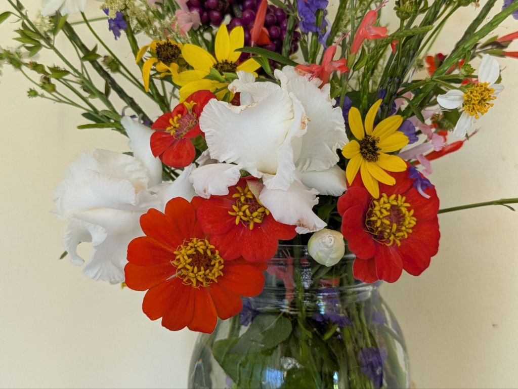 wp-17603006977514845243634768717111