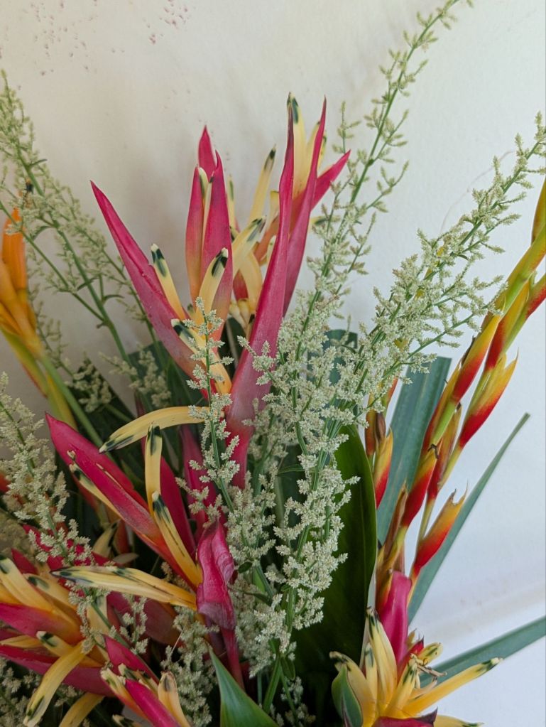 wp-17609046809036064823752141492558