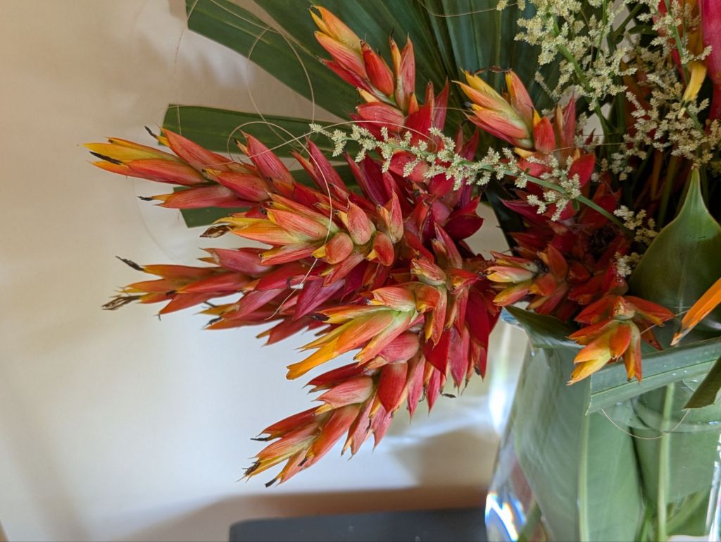 wp-1760905105152596501275845560078