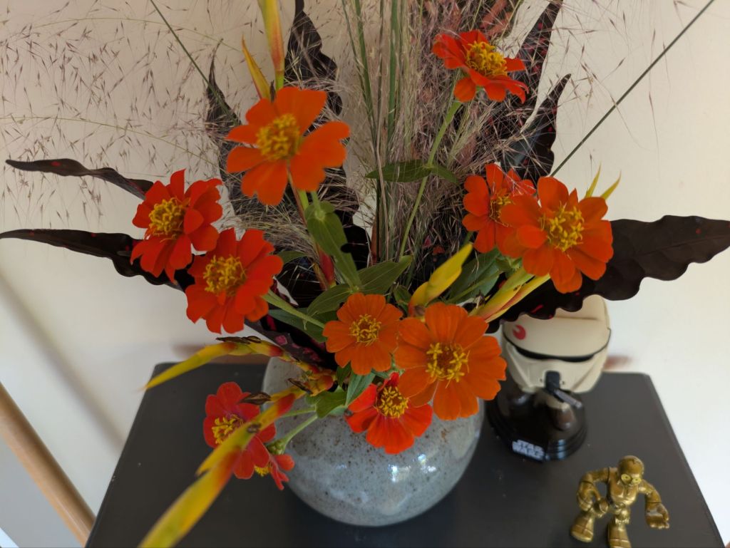 wp-17615147697031512388112100393909