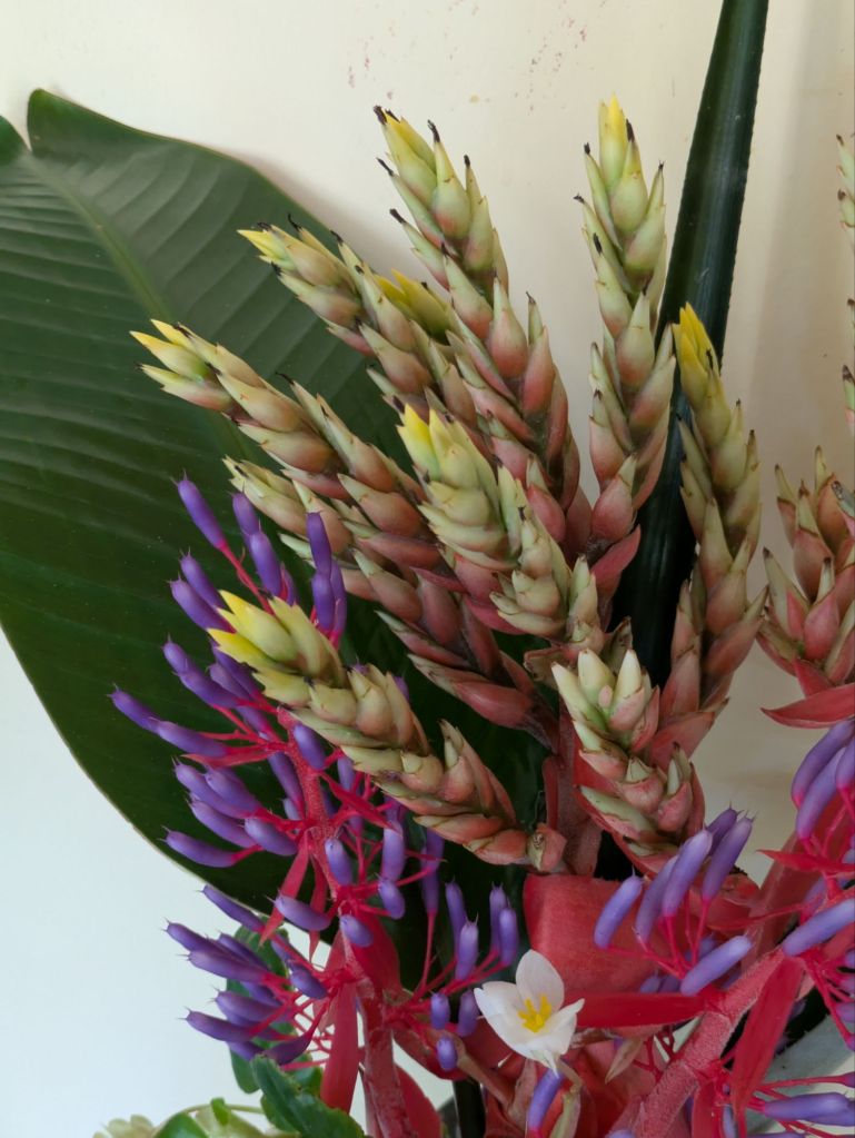 wp-17621220874406062467645004091143