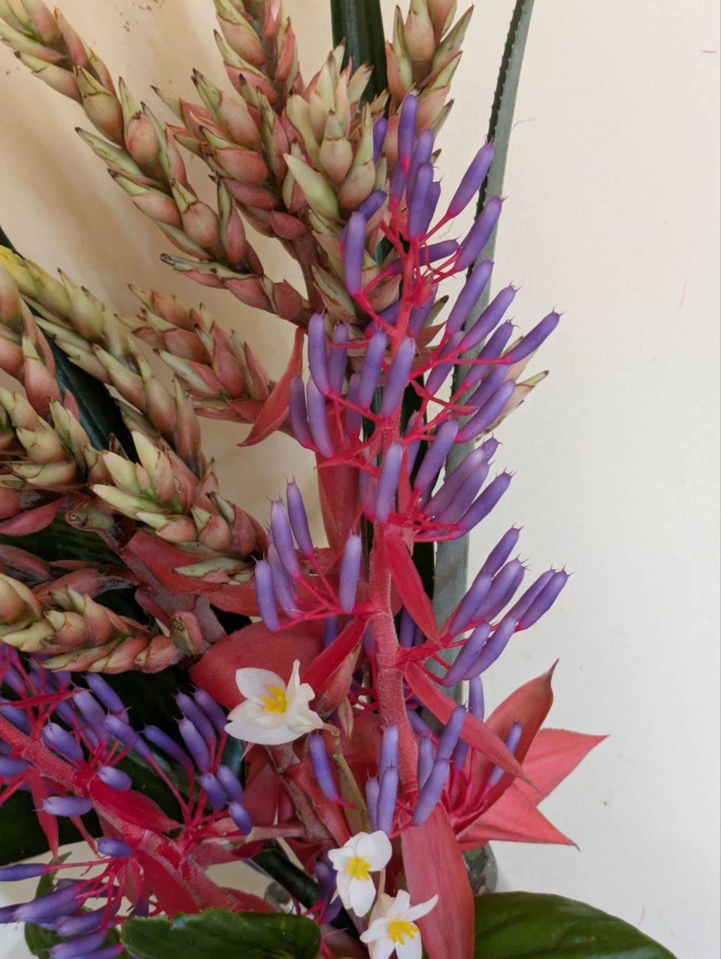 wp-17621222818824152914927374642502