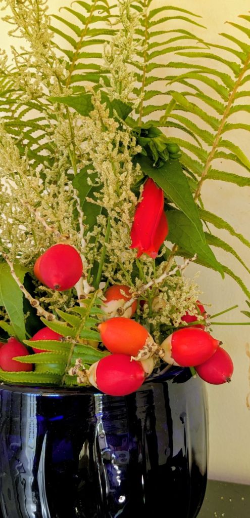 wp-17633380292501660604040861652854