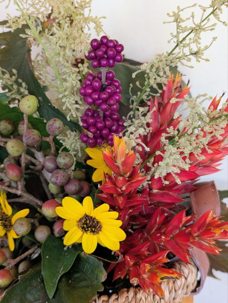 wp-17639350389801580046385890601920