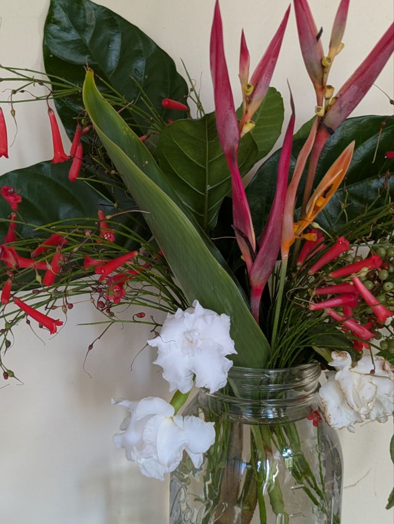 wp-17645358443956040392997537585481