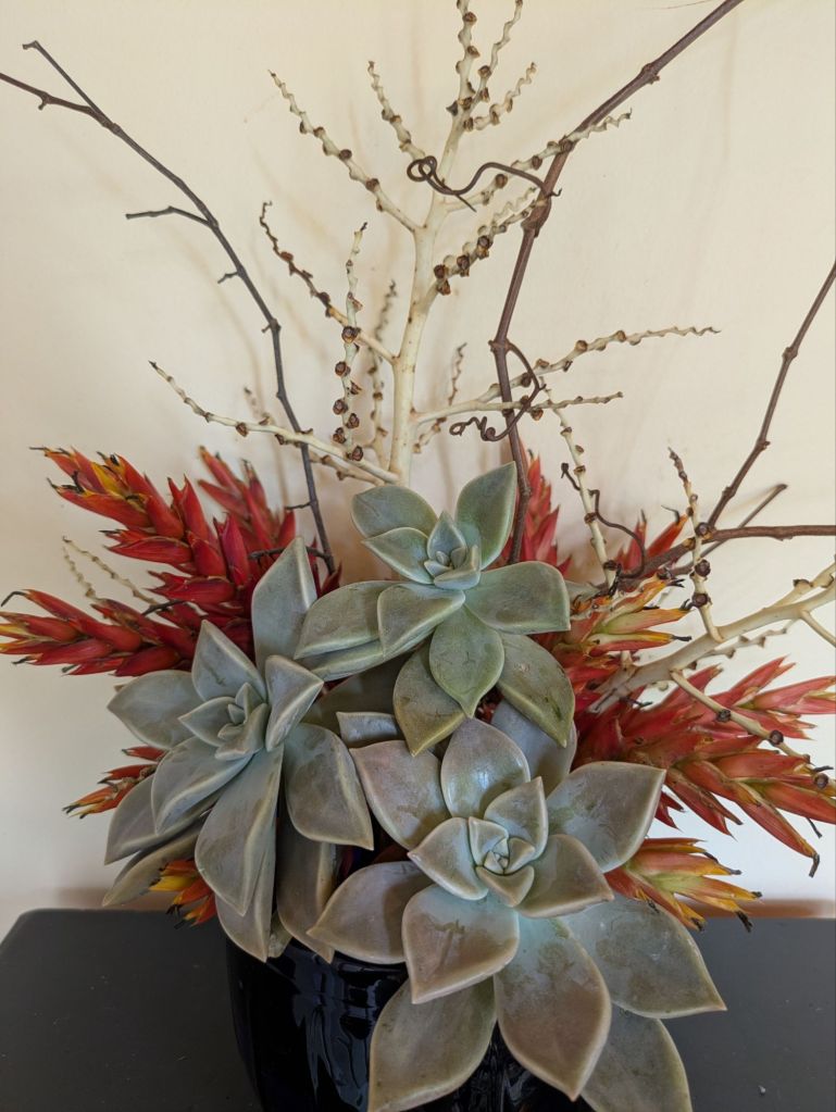 wp-17651408578533734121381196408579