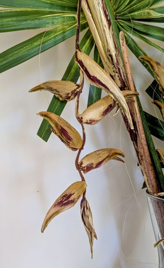 wp-17663514810473139699463723373277