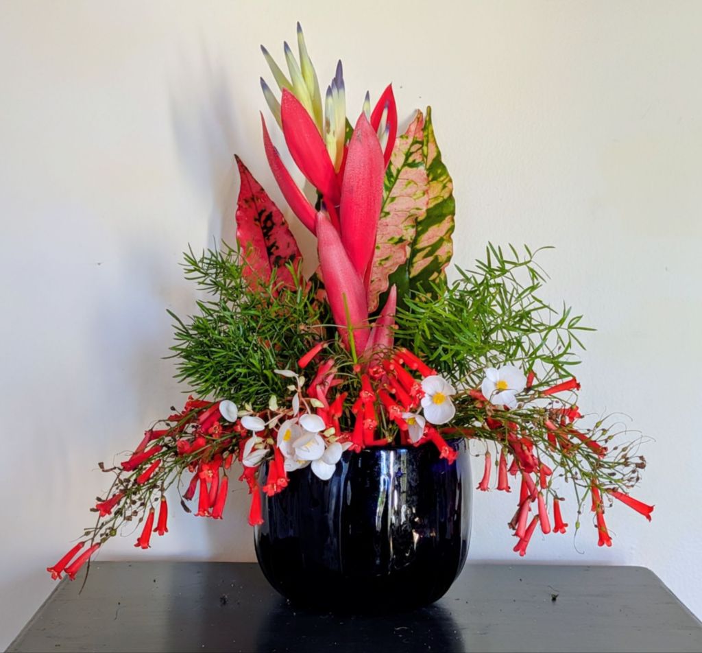 wp-17669543761296477138076614452902