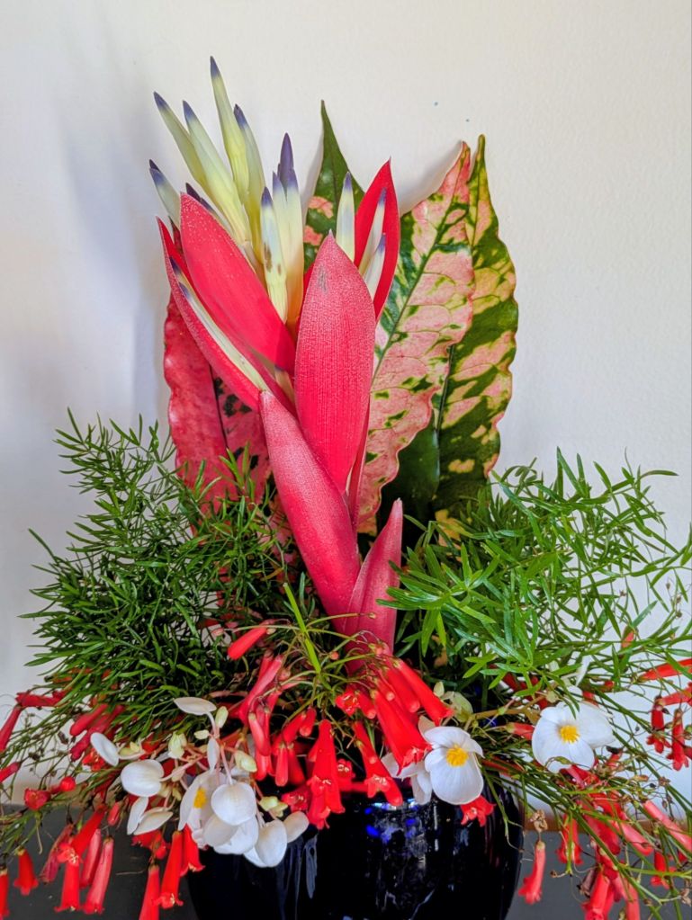 wp-17669644299133698635960170474623