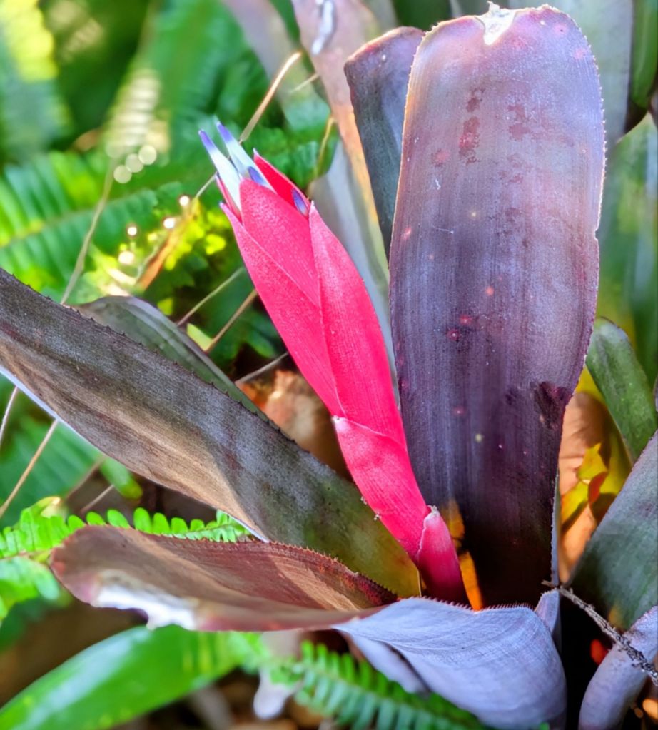 wp-17670169281617829654505298696283