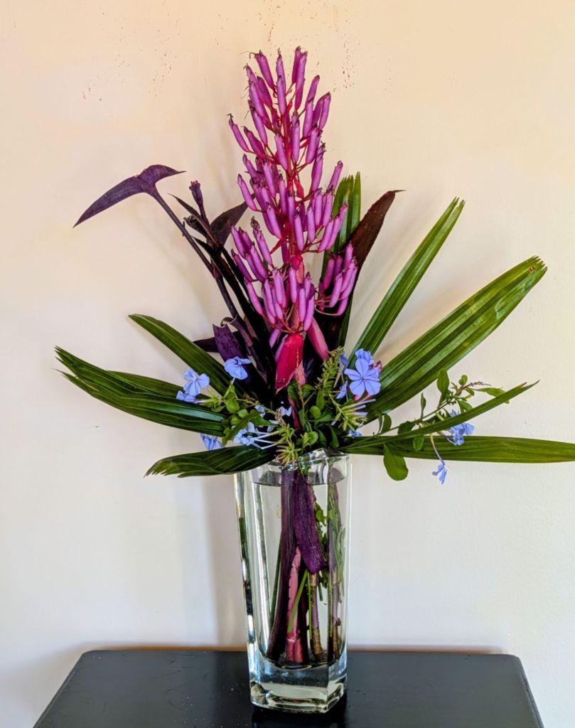 wp-17675593966502746746948116942954