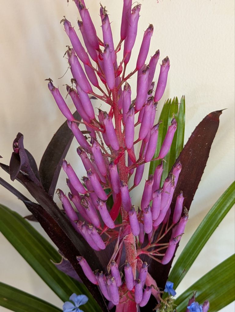 wp-17675613477913052396223726254439