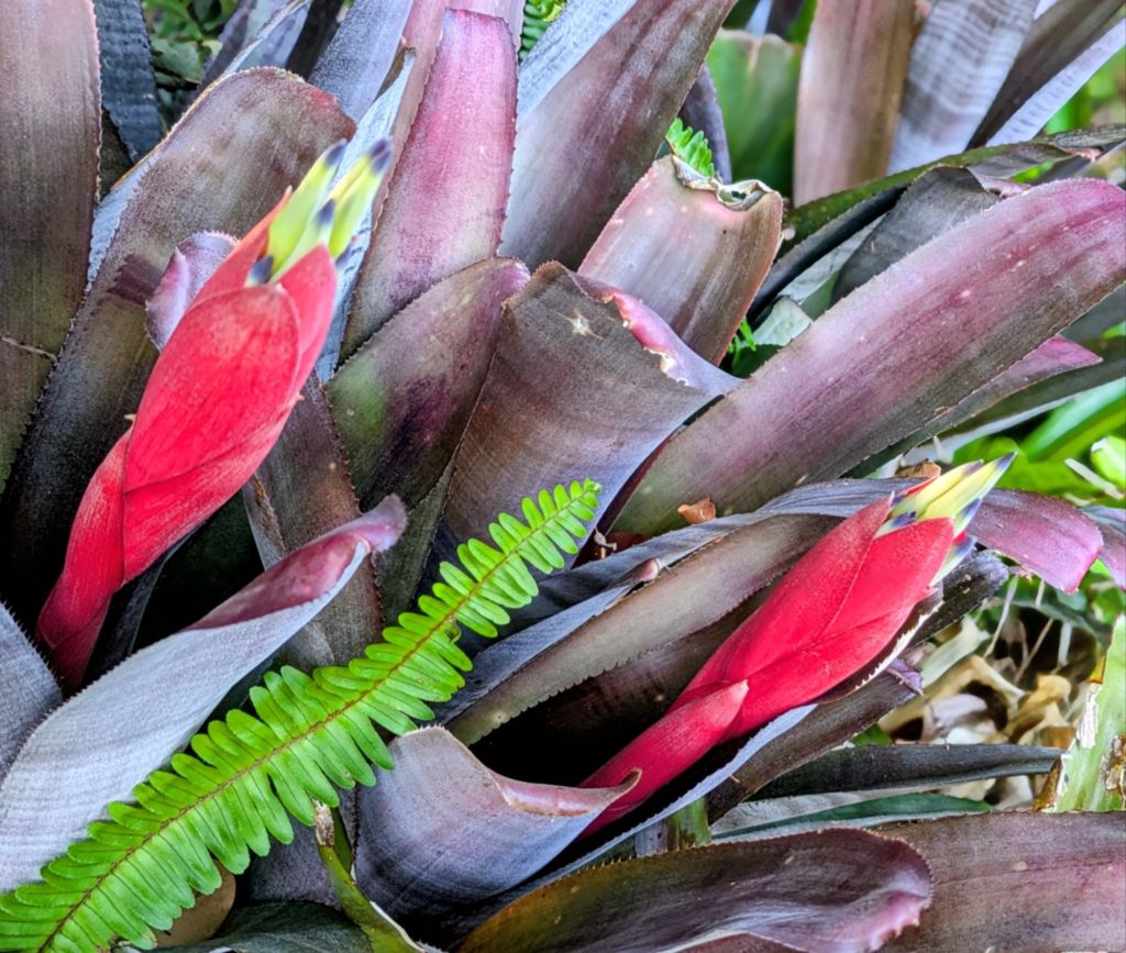 wp-1768055378229349937420669005842