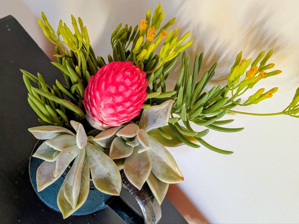 wp-17681641486778839811929033186231