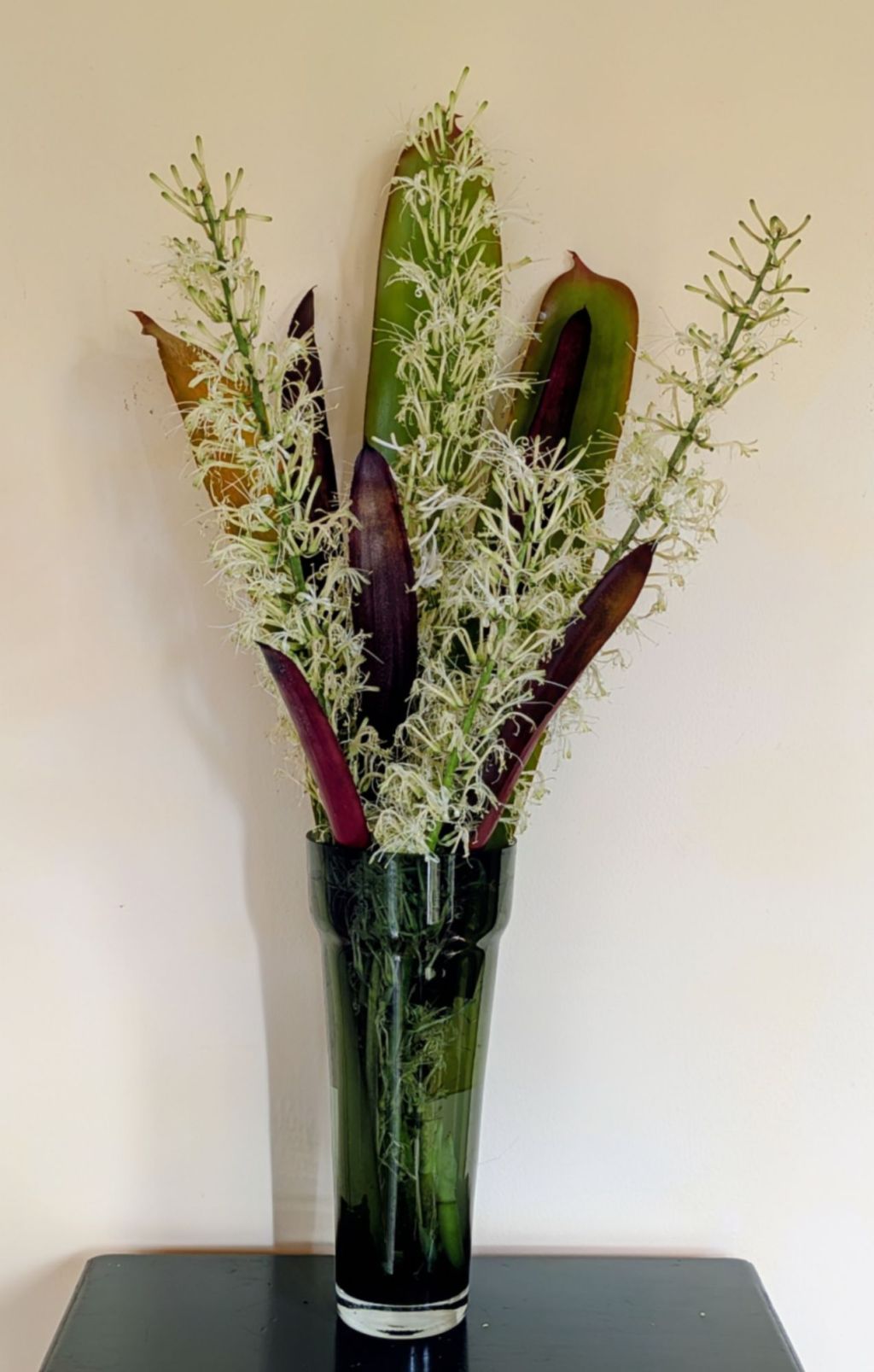 wp-17687727211512978252621183096664