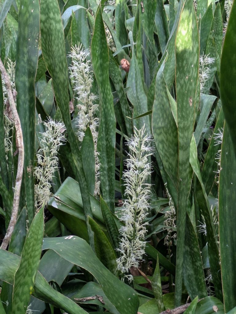 wp-17687729745523528292045424380027