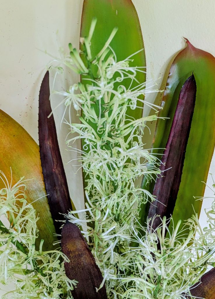 wp-17687738043205091753323756107274