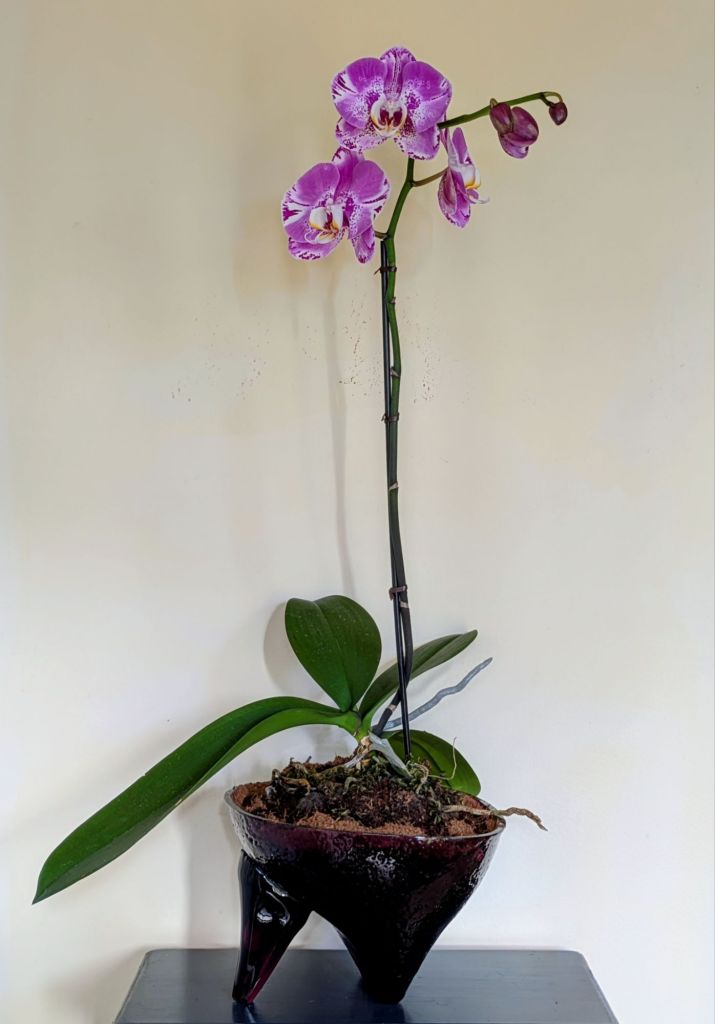 wp-17693731450731613060396587675616