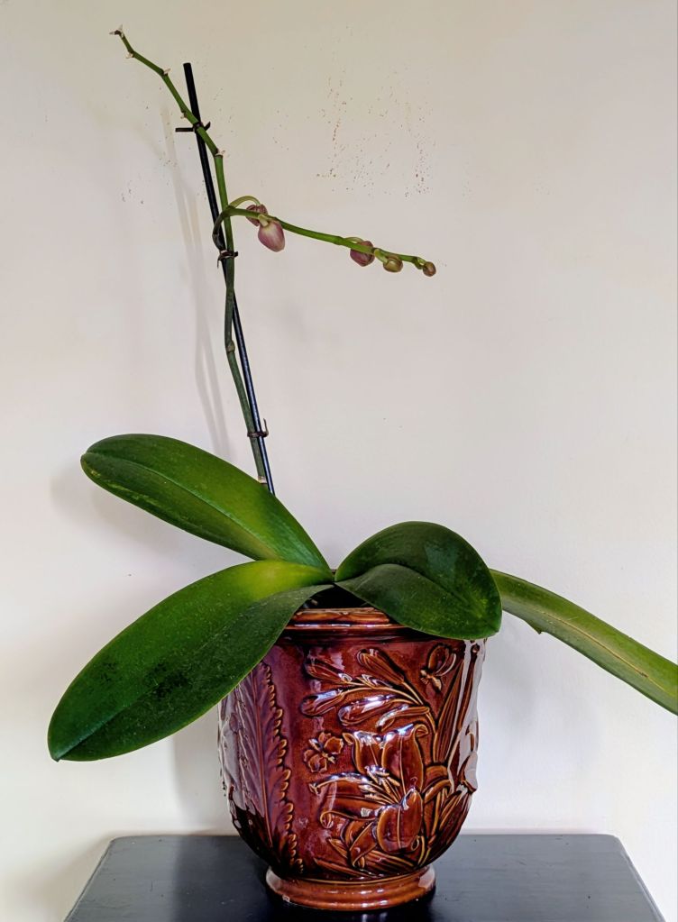 wp-17693742541171448107439113965331