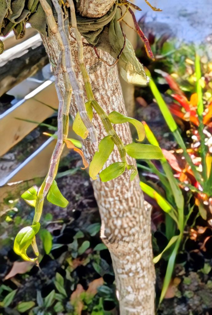 wp-17704754444297041350731385639724