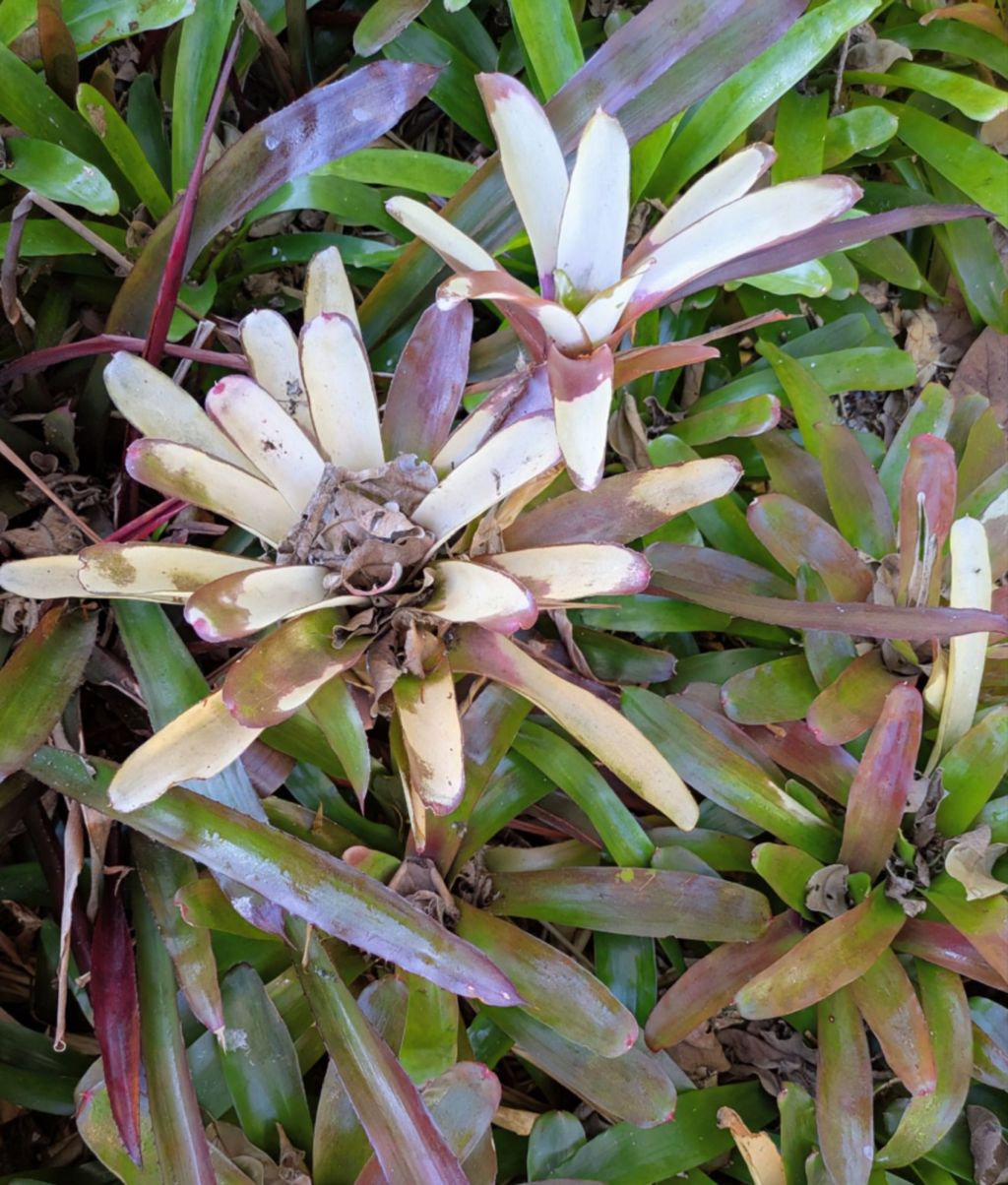 wp-17704764141538367177210518942313