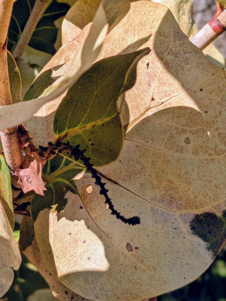 wp-17704766143282300255869291054244