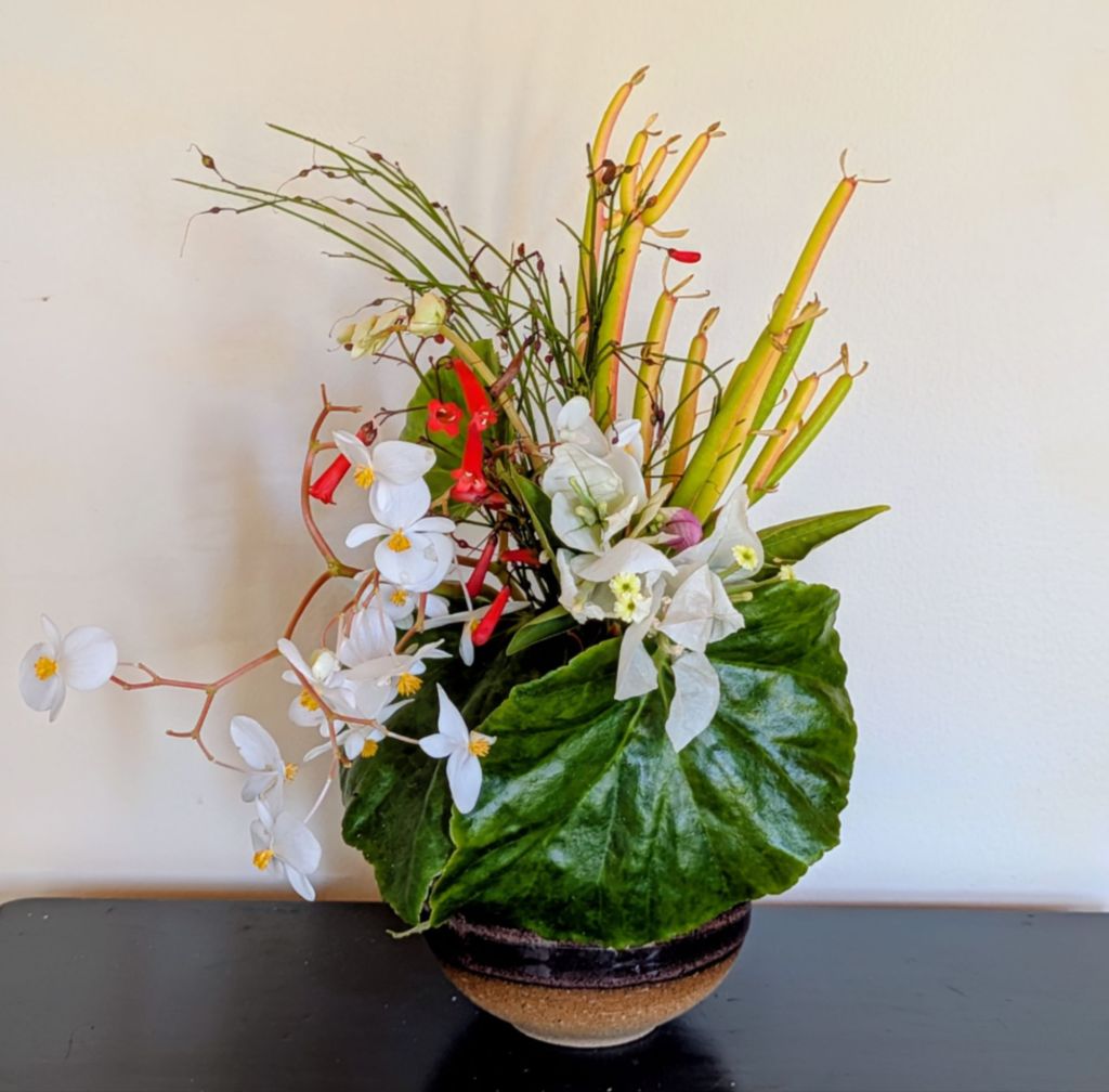 wp-17705818448075694763098126775807