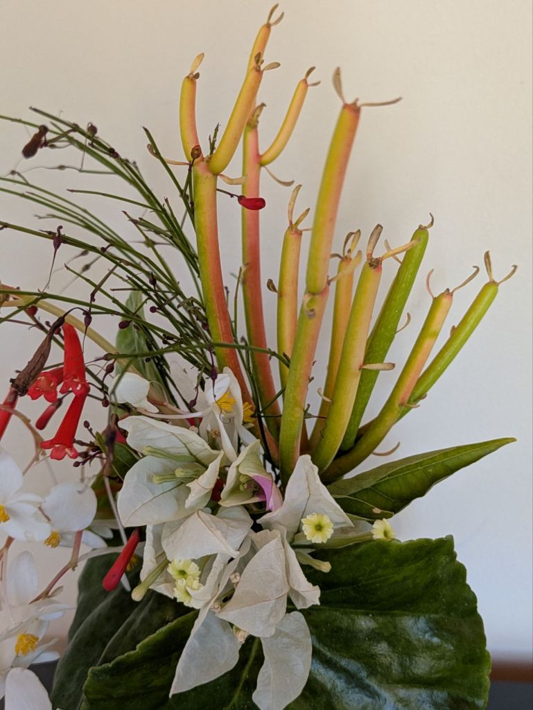 wp-17705868142508077454248866215269