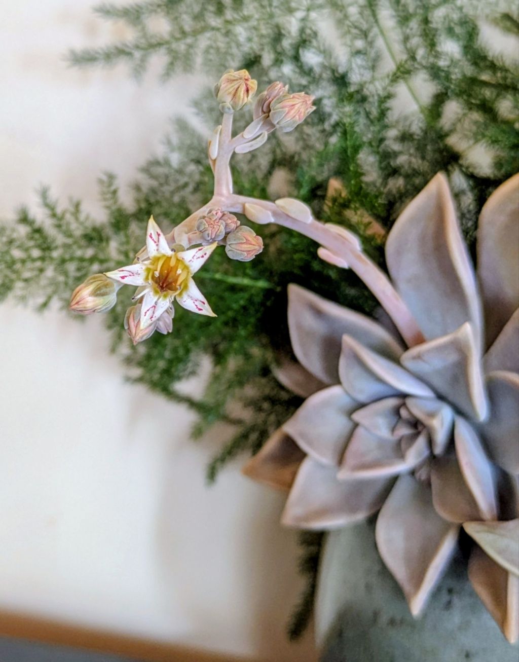 wp-17711857336644461330372237915475