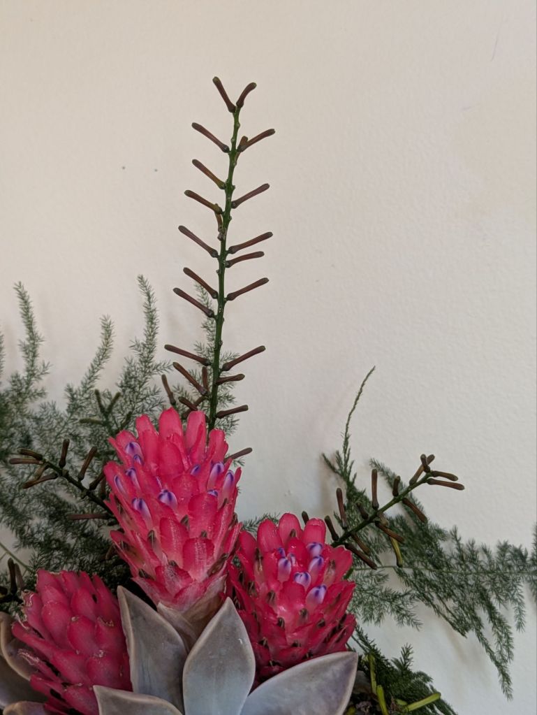 wp-17711860572954701791006606128976