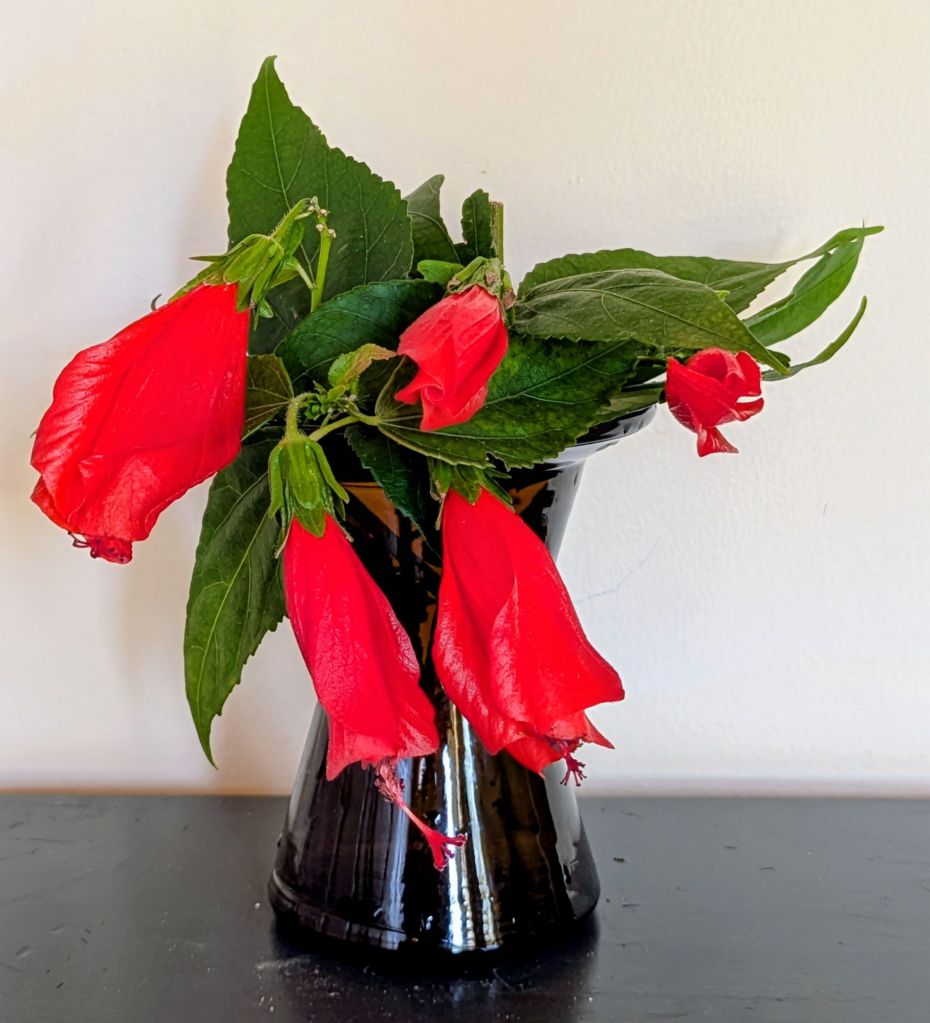 wp-17717902986979076723557075265905