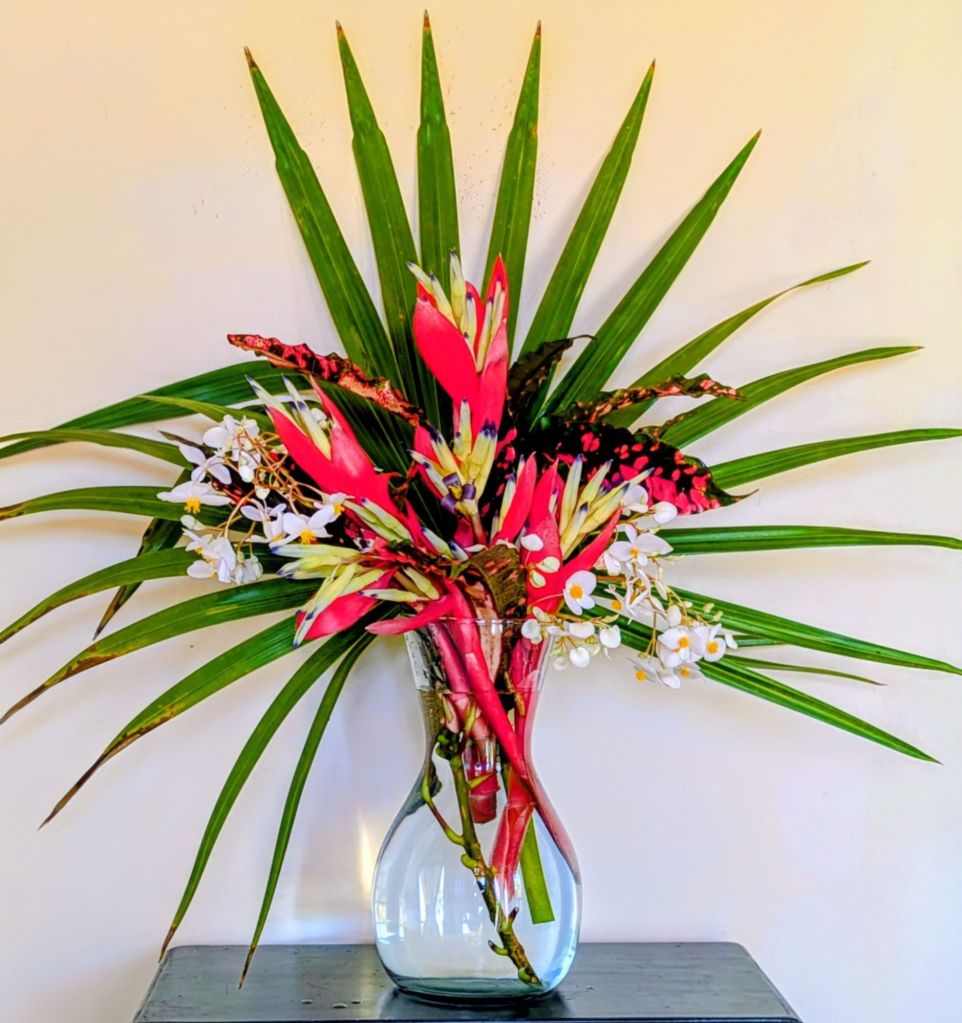 wp-17724000710908923414502510987254