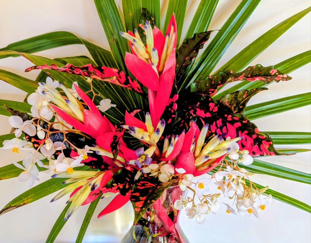 wp-17724005588924366232267831222977