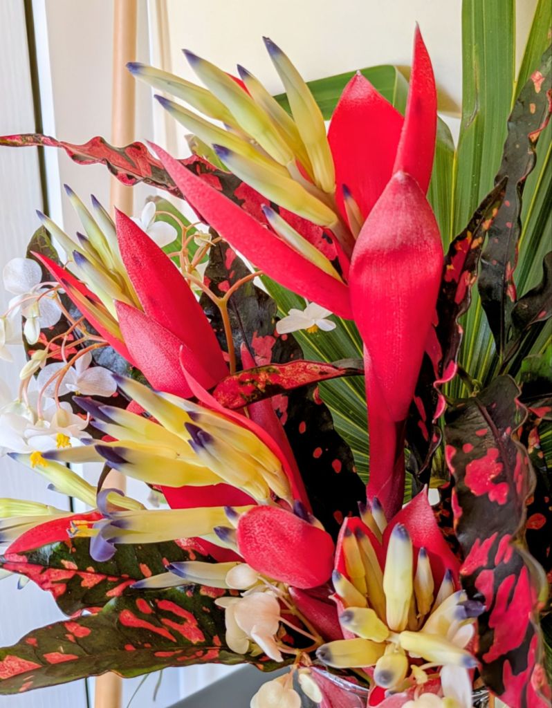 wp-17724007004505462781478408372608